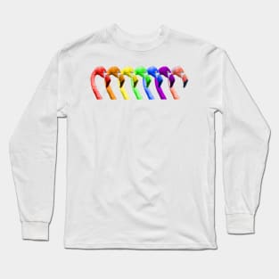 A Pride of Flamingos Long Sleeve T-Shirt